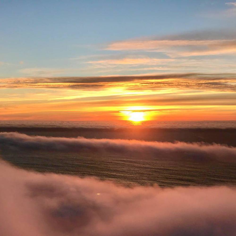 Meet your Posher, Kris